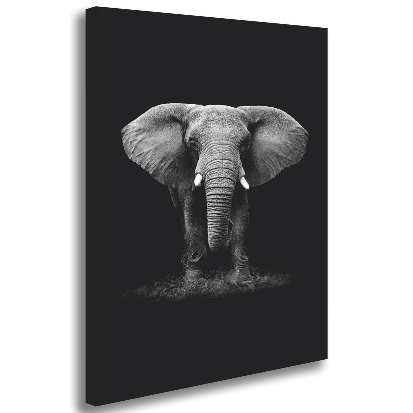 Quadro Decorativo Elefante